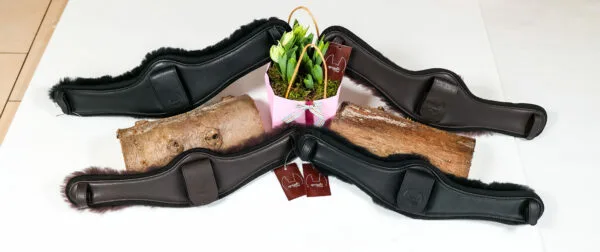 equigetic Poll - Image 5