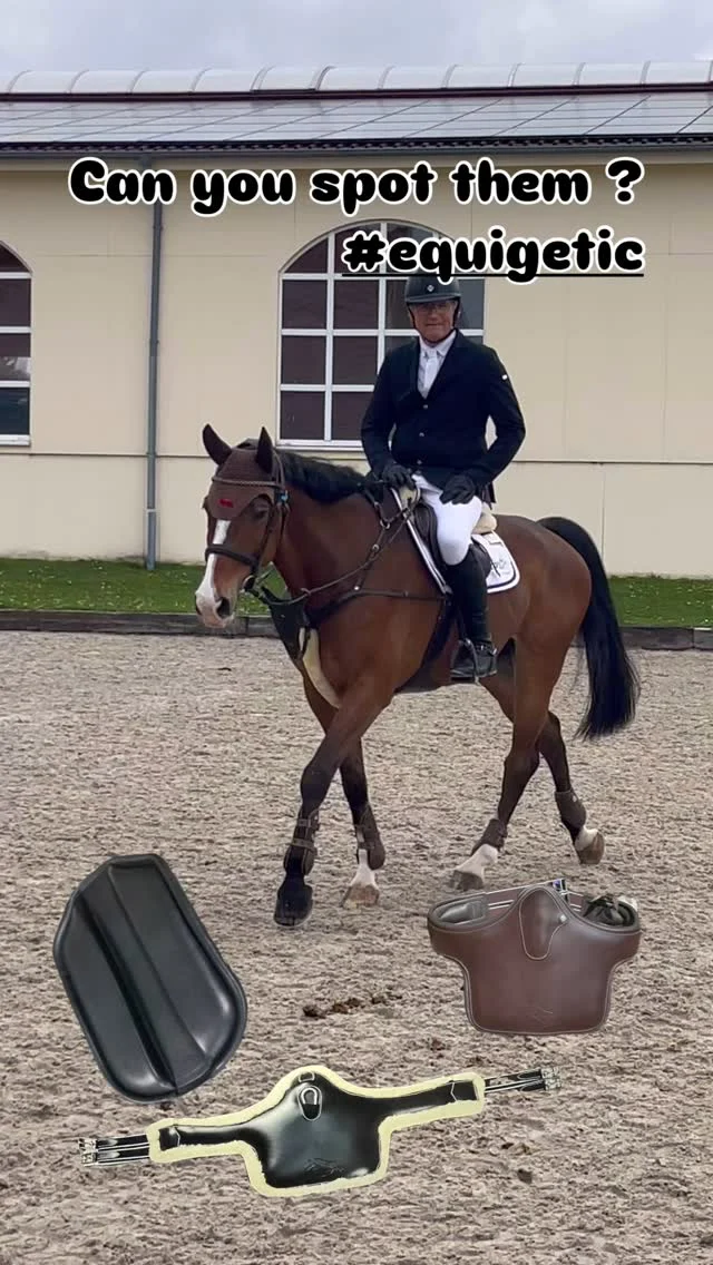 Equigetic Pad @timrieskamp
Equigetic Jump Fluffy und Equigetic Poll @markusrenzel_official
Equigetic Jump Leder und Equigetic Poll @bioranch_
#equigetic #equigeticpad #equigeticpoll #equestrian #showjumpinghorse #horseshow #horsesofinstagram #reitturnier #horsesanddreams #springpferd