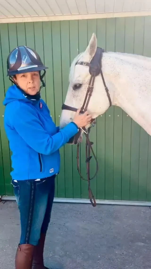Equigetic Poll
Das equigetic Poll sorgt für eine deutlich angenehmere Druckverteilung im Genick. Herausragende Erfolge zeigt die Polsterung am Kiefergelenk, die den Pferden/Ponys sichtlich hilft besser abzukauen und Stress zu lindern. Auch Verspannungen und Blockaden in der HWS können mit dem equigetic Poll verbessert werden.
The Equigetic Poll distributes the pressure from the bridle and halter on the poll. The unique shape also visibly relieves the pressure on the tempomandibular joint created by the browband and buckles. Overall the bridle sits more comfortably and the horses are more relaxed. Since everything is connected within the body the Equigetic Poll releases the tension in the neck of your horse.
#equigetic #equigeticpoll #trense #halfter #genickstück #headshaking #poll #equestrian #horses #pony #neckband #pferdeliebe #reiten #reitsport #schimmelliebe #pferde #horsestagram