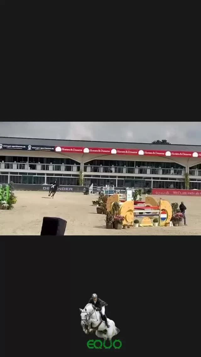 Equo Reitsport steht für qualitätvolle Ausbildung und Verkauf von Springpferden. Axel Wöckener und Markus Renzel bilden gemeinsam Pferde von Springpferdeprüfungen zu internationalen Grand Prixs aus.
Sie suchen ein perfekt ausgebildetes Pferd für den gehobenen Springsport? Ein Pferd dass voller Vertrauen in den Sport gebracht wurde?
Besuchen Sie uns auf: www.equo-reitsport.de
#showjumping #springpferdederzukunft #holsteiner #equestrian #springreiter #springreiten #reitsport #showjumper #springprüfung #springpferdeausbildung #casall #contender #vagabond