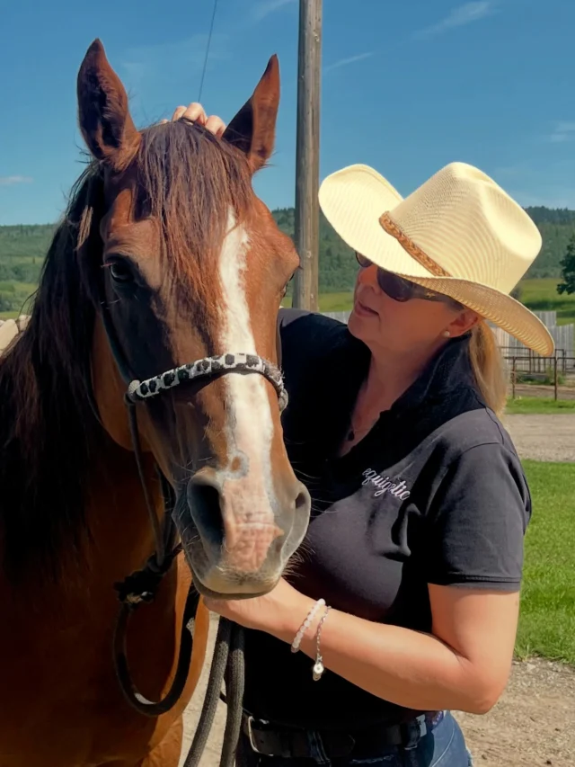 My favorite type of Holiday 🤠🇨🇦
#canada #equigetic #trailride #quaterhorse #dog #horses #cowgirl #lovemylife #friendsinbestplaces #recharge