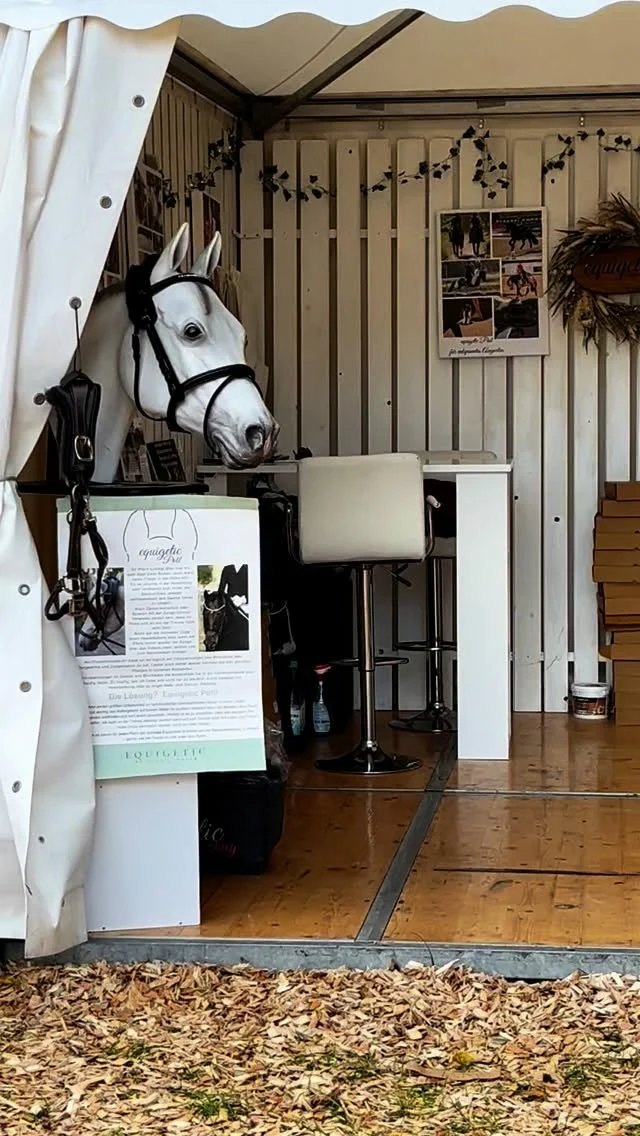 Bundeschampionat 2025 🥳
Wir sind wieder dabei und haben tolle Angebote und sogar Geschenke mitgebracht! 

#equigetic #absorbine #bundeschampionat #bundeschampionat2025 #equigeticpad #equigeticpoll #equigeticjump #equestrian #pferde #jungepferde #pferdeliebe #springpferd #dressurpferd #vielseitigkeit