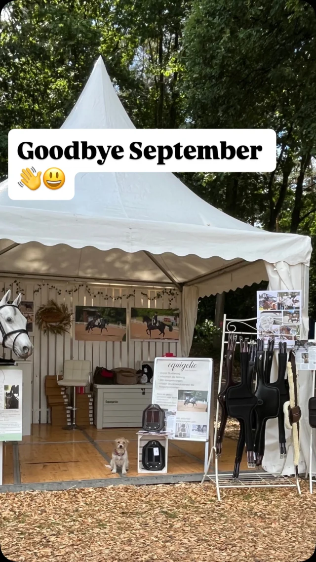 September Grüße 👋😃
Mit viel Bundeschampionat - süßen Hunden - neuen Pferden - Besuch bei Freunden und soooo viel Liebe 🐶🐴🫶🥰

#equigetic #hunde #greatfriends #pferdeliebe #katzenliebe❤️🐾 #hundeliebe❤️🐾 #herbst #freundschaft