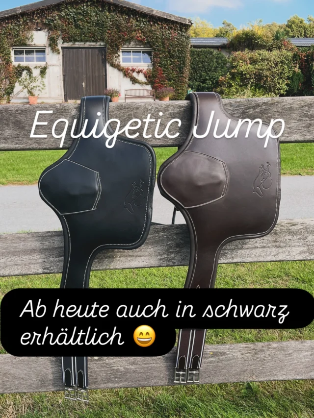 Neu im Shop!
Equigetic Jump Leder in schwarz. In den Größen 120 cm bis 145 cm.
Bitte denkt daran die equigetic Sattelgurte 5 cm länger zu nehmen als normal, sie sind einfach mehr gepolstert als herkömmliche Gurte.
Für weniger Druck und mehr Komfort 😄👍
#equigetic #stollenschutzgurt #springsattel #gurtdruck #soringpferd #besserfürspferd
