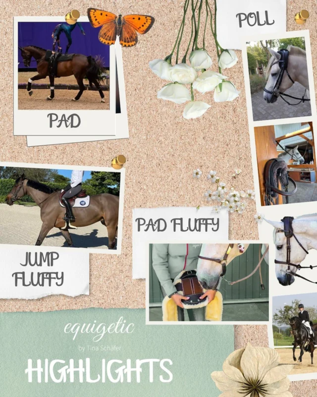 Seht ihr es auch? Die Lücke in der Mitte? 
Denkt ihr auch, da wäre noch Platz für Neues? 🤔

Bleibt gespannt. Wir arbeiten dran 🫶 
Neues Produkt im November 🤩 immer um Druck zu mindern und Wohlbefinden bei deinem Pferd zu fördern 🫶

#equigetic #equigeticpad #equigeticjump #equigeticpoll #pferdeliebe #besserfürspferd