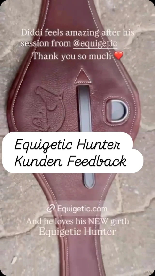 Wenn man so ein schönes erstes Feedback zum #equigetichunter bekommt ist es ein Reel wert denke ich 🥳

Danke an @california.feli ❤️🐴 

Alles über den neuen equigetic Hunter Gurt erfahrt ihr hier :

www.equigetic.com 

#equigetic #equigetichunter #sattelgurt #physiotherapist #reiten #pferde #hunterundersaddle #sattel