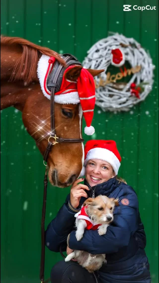 Frohe Weihnachten euch Allen und einen guten Rutsch in ein gesundes und friedliches neues Jahr 🎄🫶❤️🐴

#equigetic #equestrian #x-mas #weihnachten #happyholiday
