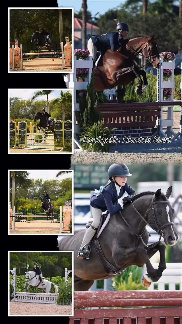 Der equigetic Hunter Gurt mit integriertem Brustbein Kanal auf Erfolgskurs in den USA 🥰 
Wir sind sehr glücklich so viel positives Feedback zu diesem neuen equigetic Produkt zu erhalten. 
Längen ab 110cm in braun und ab 120cm in schwarz sind vereinzelt noch am Lager und Nachschub kommt Mitte April! 🌷🥰

#equigetic #equestrian #derbyhunter #equigetichunter #sattelgurt 

Thank you @ghfhamptons for the beautiful pictures 💞 and support 🙏 to always find the best solution for our horses and ponys