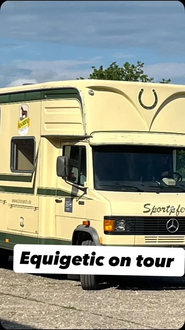 Ab sofort könnt ihr auch auf den Turnieren wo wir unterwegs sind die equigetic Produkte direkt kaufen oder euch einfach nur beraten lassen ☺️👍 

#equigetic #equigeticontour #reitsport #reitsportzubehör #reitturnier